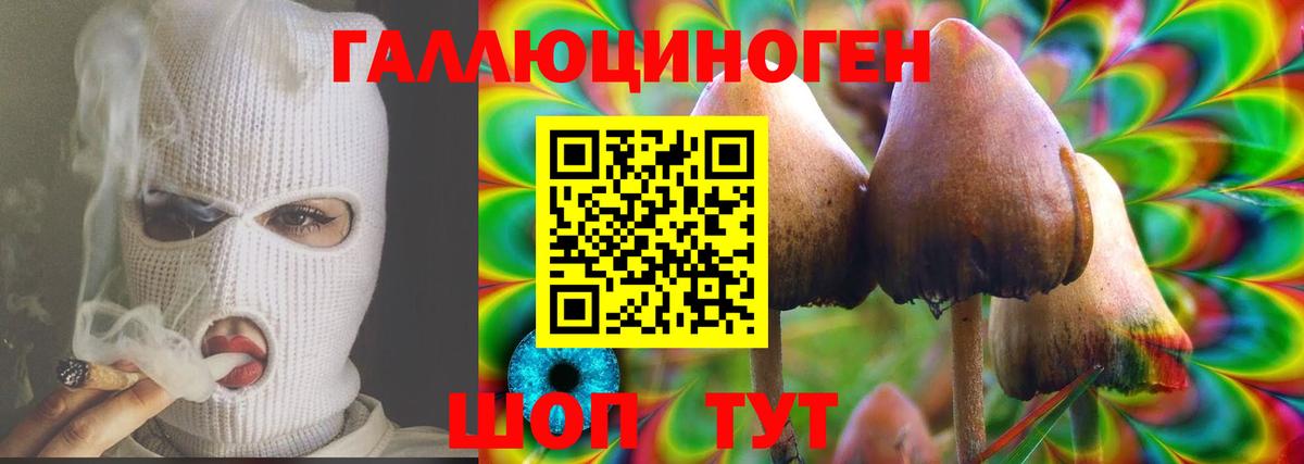 Псилоцибиновые грибы мицелий  Вход с VPN  Воткинск 
